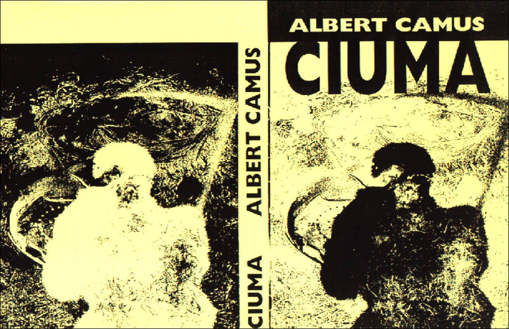 ciuma yellow